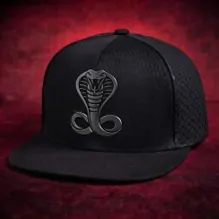 Gorra Spider