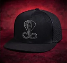 Gorra Spider